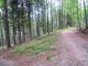 Rzyki Podlachoń - Potrójna - szlak czarny. W tym miejscu proponuję zejść ze szlaku i iść prosto bardziej widokową trasą, a nie stromą kamienistą rynną. Autor: Wiesław Dębowski
