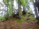 Łamana Skała - Potrójna - szlak czerwony. Szlak żółty na Potrójną,  liczne skałki w rezerwacie przyrody.  Autor: Wiesław Dębowski